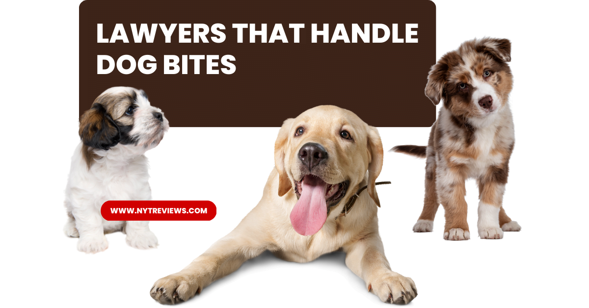 Lawyers that handle Dog Bites