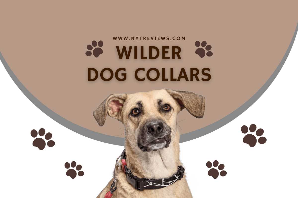 Whilder Dog Collars